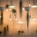 1867437 9 Best Indoor Hanging Plants That Are Easy To Care For 40