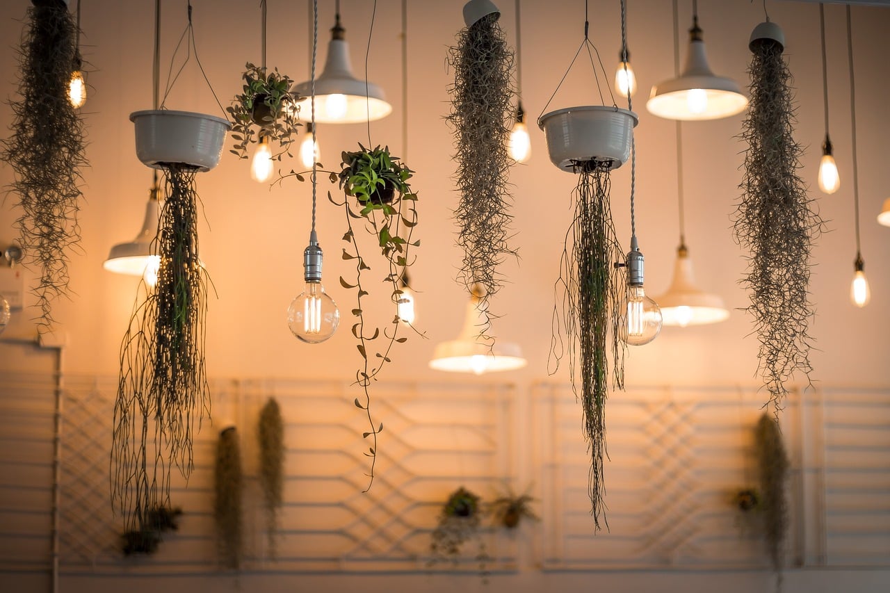 1867437 9 Best Indoor Hanging Plants That Are Easy To Care For 1