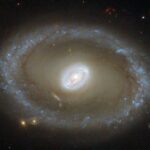 Hubble Eyes Golden Rings of Star Formation