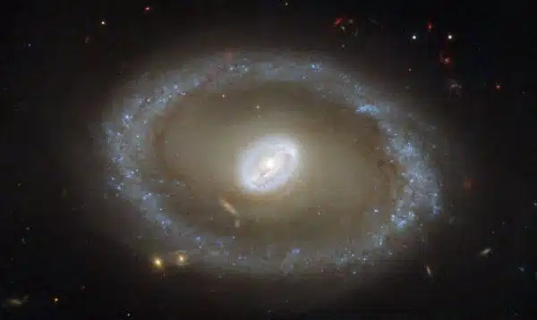 Hubble Eyes Golden Rings of Star Formation