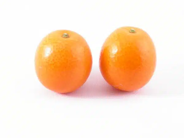 kumquat 金柑
