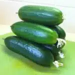 Cucumber Harvest