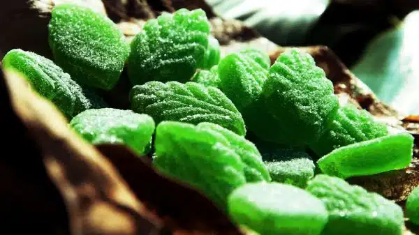 green spearmint leaves