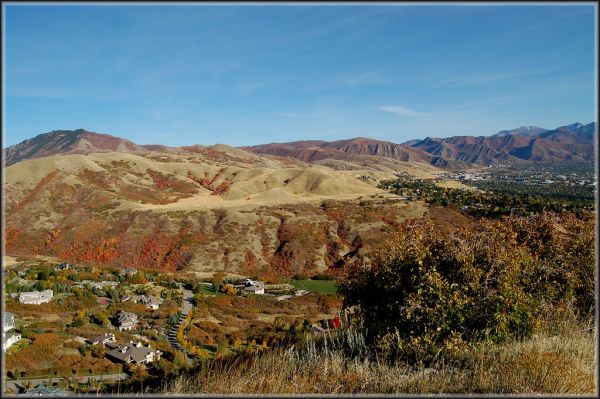 City Creek benches, Red Butte and Emigration Canyons, Netleaf hackberry, University of Utah view in autumn