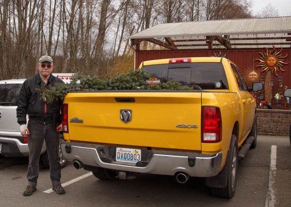 My truck comes in handy for Steve's new tree
