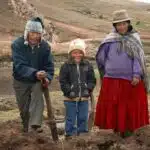 Bolivian quinoa farmers prepare the soil for planting
