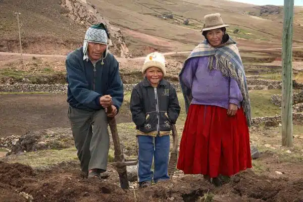 Bolivian quinoa farmers prepare the soil for planting