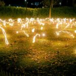glg 7baeuxo How To Attract Fireflies To Your Yard (15 Ways) 9