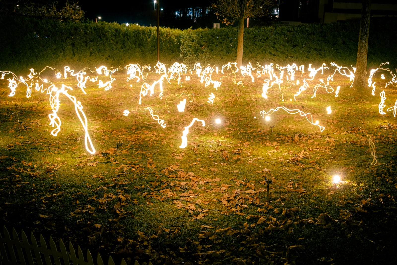 How To Attract Fireflies To Your Yard (15 Ways) 1