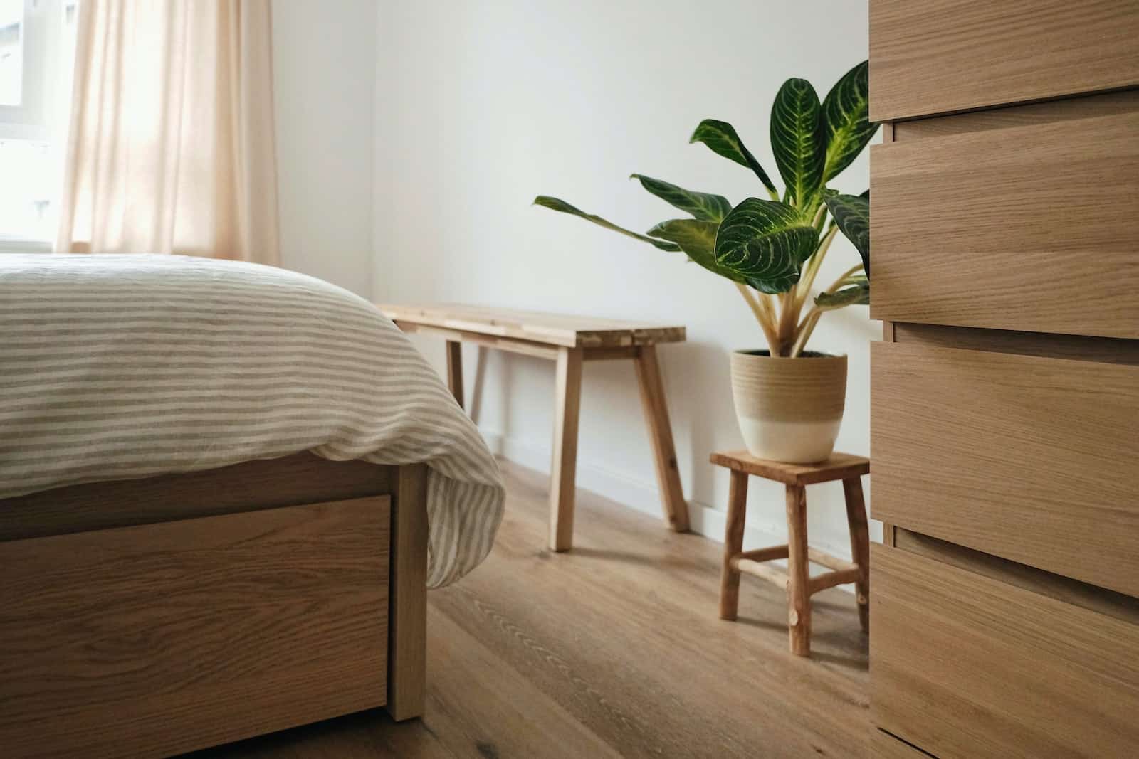 i3s oha 5k4 12 Best Bedroom Plants: Cleaner Air & Better Sleep 1