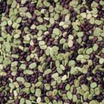 jJLuMB JMAjq scaled 1 How To Grow Lima Beans 38