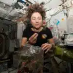 NASA astronaut Jessica Meir dines on fresh Mizuna mustard greens