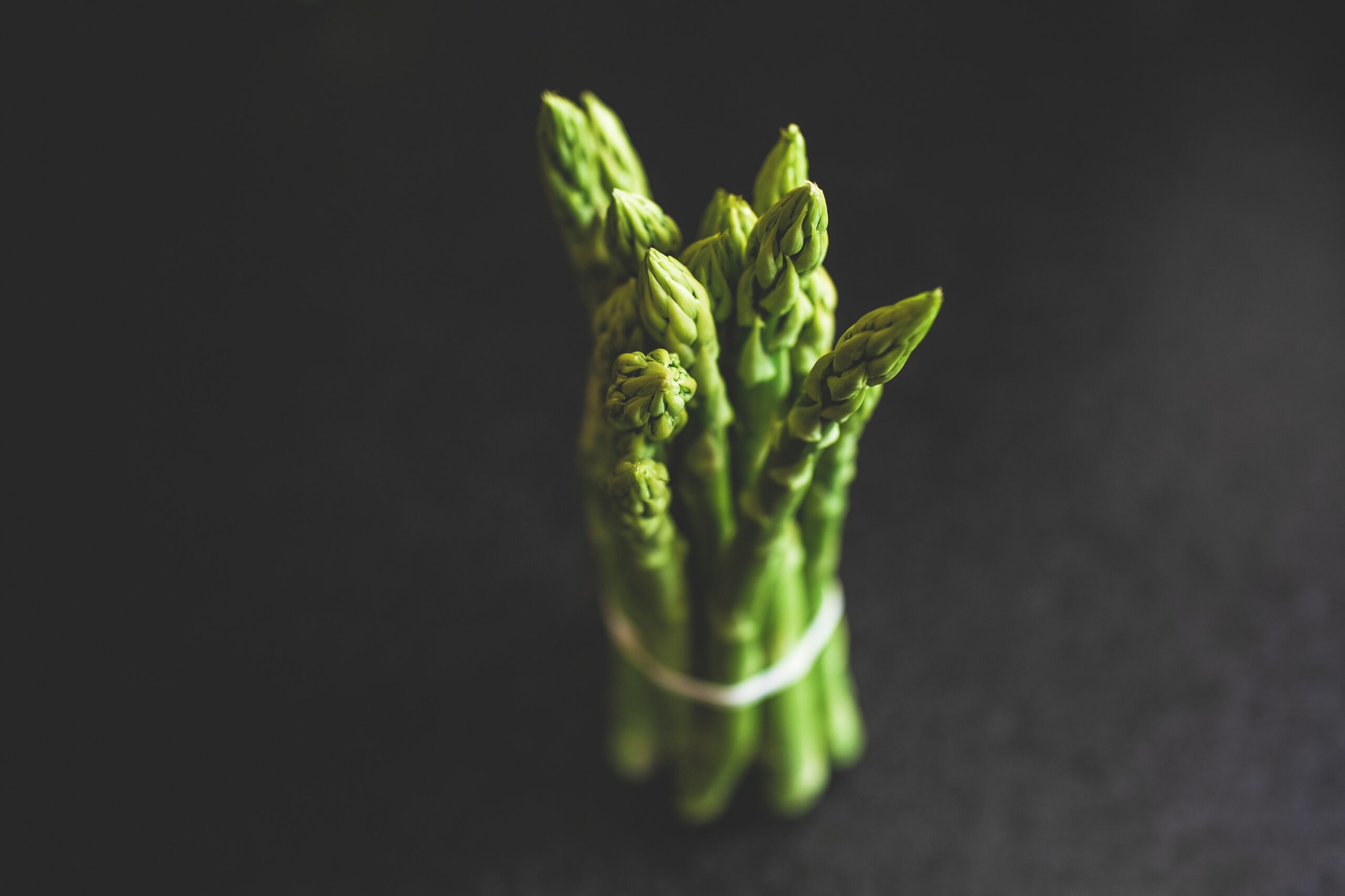 wLBBYVyV98jq scaled 1 How To Grow & Care For Asparagus Fern 1