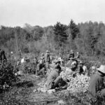 Chinese crushing stone, camp Petawawa. Ont., 1917. / Travailleurs chinois broyant de la pierre, Camp Petawawa 1917