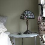 Nightstand, lamp, cat