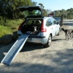 dogs and car and ramp