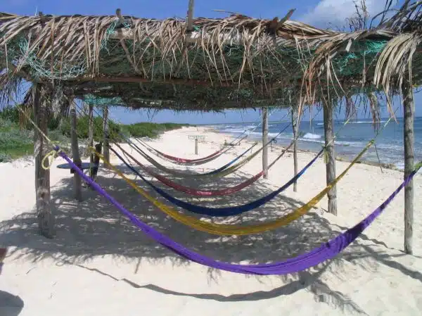 Nude beach hammocks