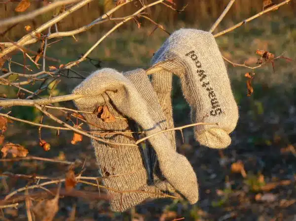 Symms Gap - Smart Wool Socks