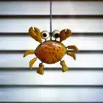 Window Blind Crab
