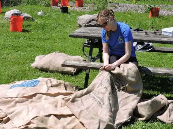 Cutting up burlap bags to mulch the meadow (2017)