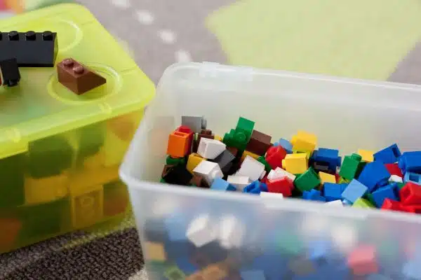 LEGO Organization