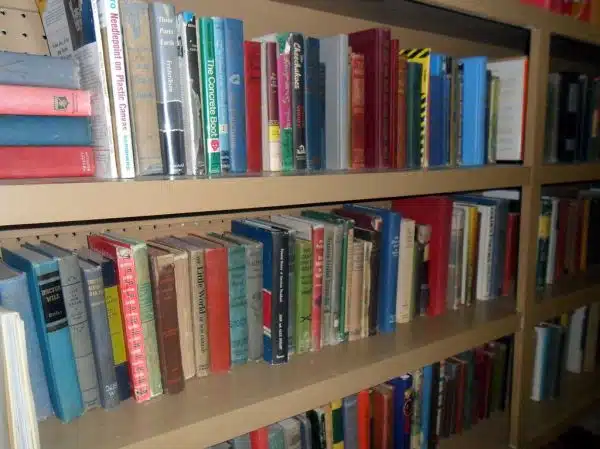 Shelf of Used Books