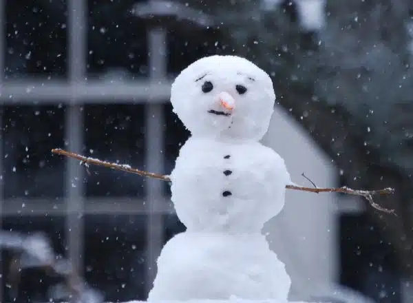 Snowman Neighbor