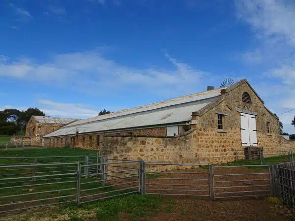 Bungaree Station . In the Clare Valley. The Hawker brothers established this sheep station in 1842. This stone wool shed dates from the late 1860s. Corrugated iron was imported from Wolverhampton . 100000 sheep a year shorn here.