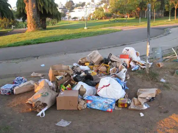 this trash wanted to go in a can, but the can was too full, so it's waiting for the next one