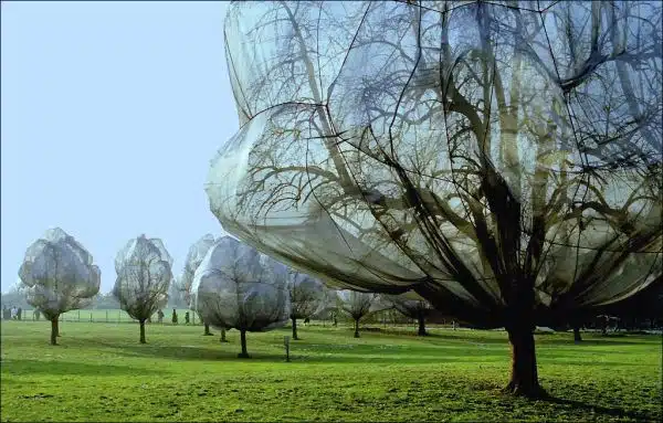 Christo and Jeanne-Claude / Wrapped Trees 1998