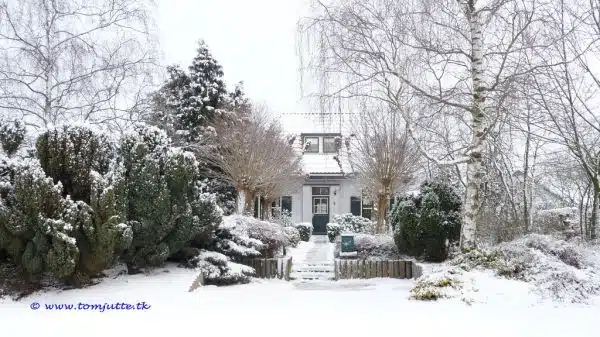 Winter in Holland, Snow Garden, Zutphen - 0959