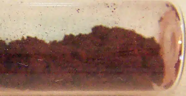 File:Red phosphorus in a tube - P 15 .jpg