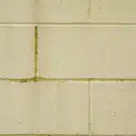 Texture - Yellow painted wall cinder blocks