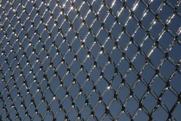 Icy Chain-link Fence