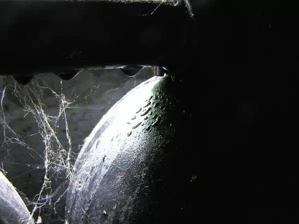 webs, condensation on basement water tank