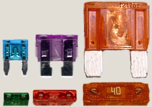 File:Electrical fuses, plug-in type, different sizes.jpeg