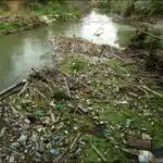 Jordan River Garbage Catch Basin