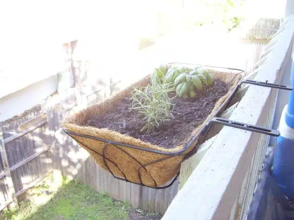 my new 'window box' planter - the beginning of remodeling my balcony into a wonderful beautiful outdoor living space!